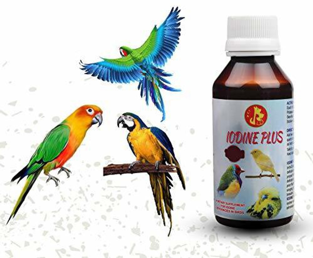 Iodine plus outlet