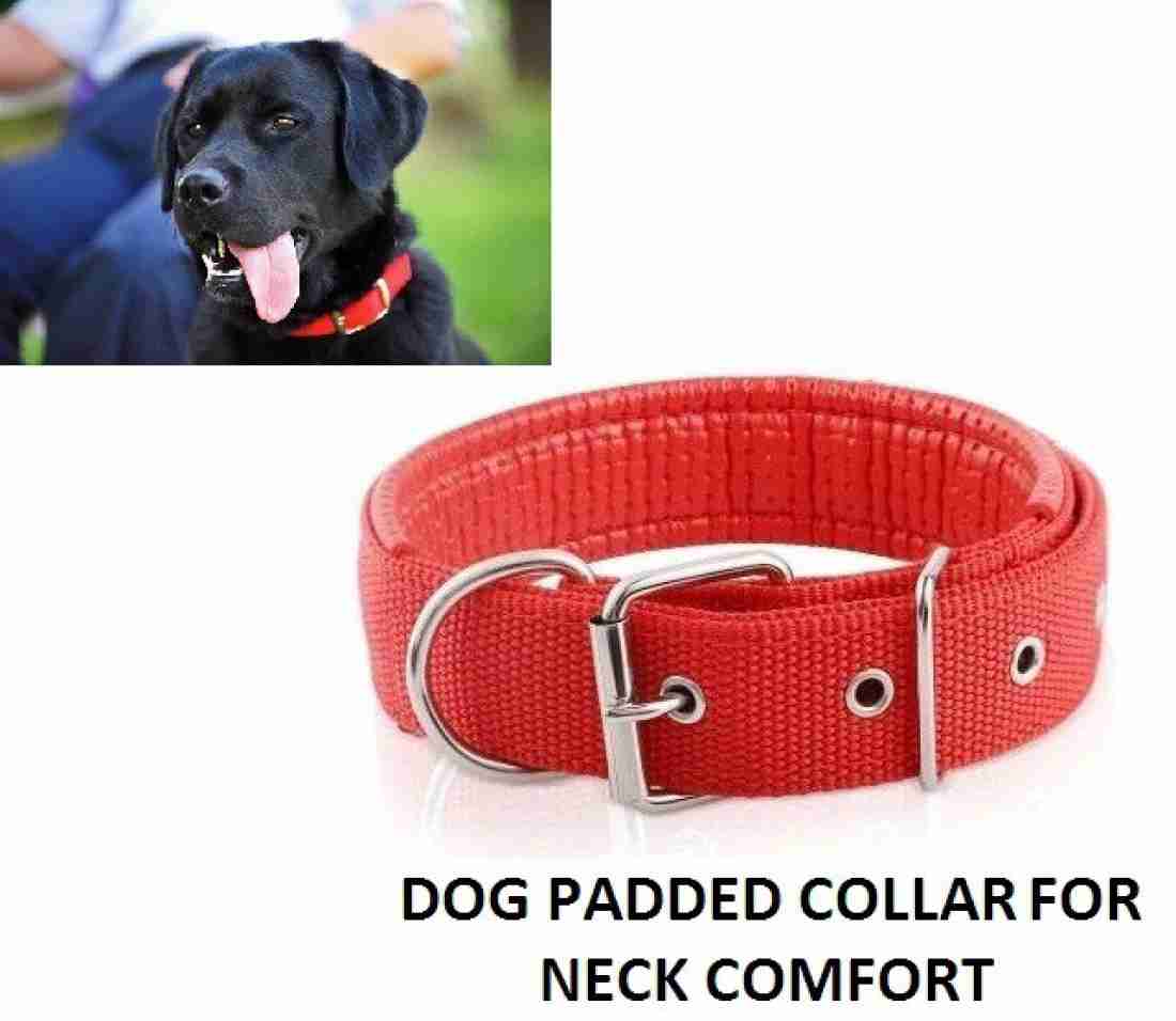 Dog Collars - Buy Dog Collars Online Starting at Just ₹127