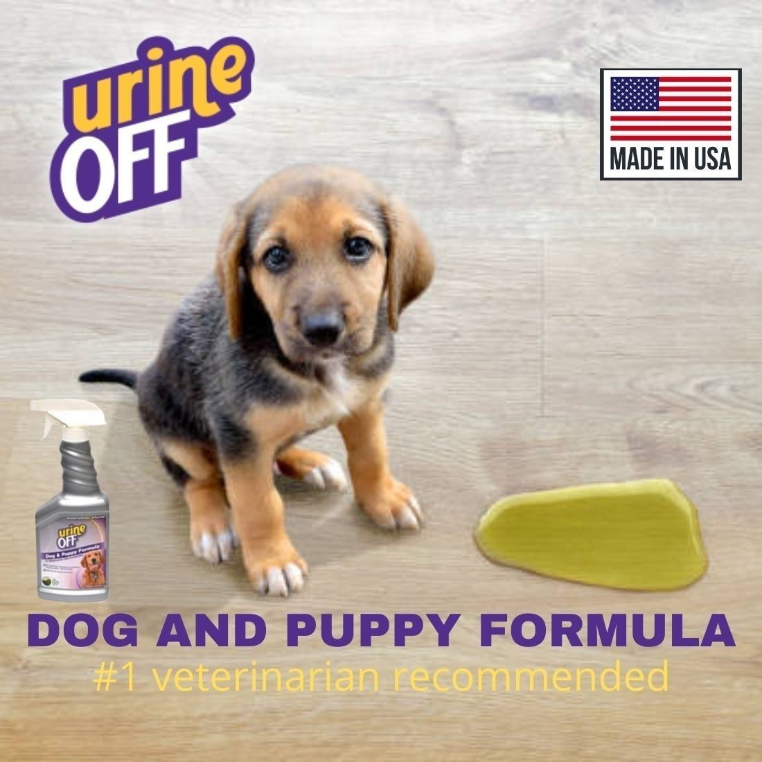 Urine off dog outlet and puppy