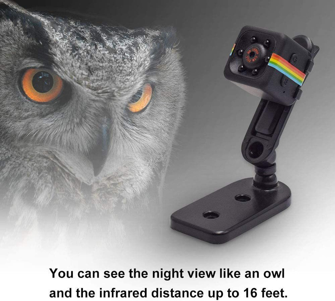 Owl clearance hidden camera