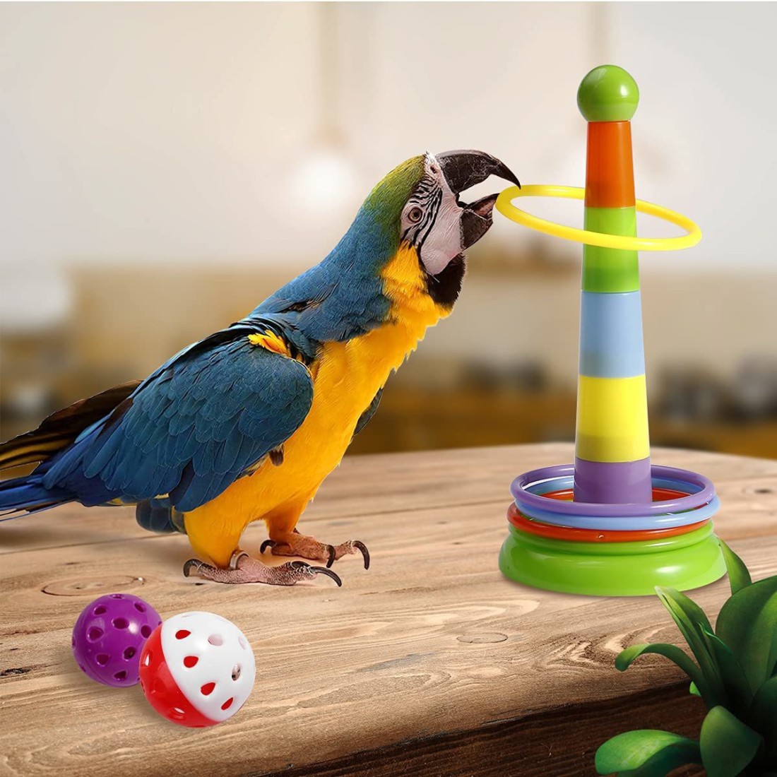 Parrot Toys Bird
