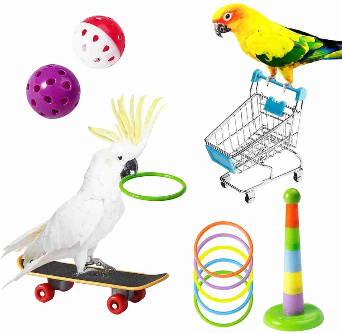 Parrot accessories 2025