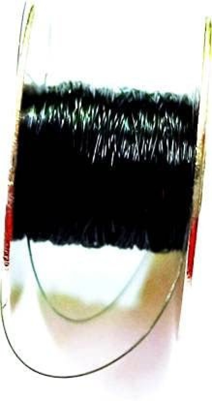 wizerdy INVISIBLE THREAD REEL MAGIC (BLACK) / MAGICIAN INVISIBLE THREAD 1  Magic Tricks Price in India - Buy wizerdy INVISIBLE THREAD REEL MAGIC  (BLACK) / MAGICIAN INVISIBLE THREAD 1 Magic Tricks online at