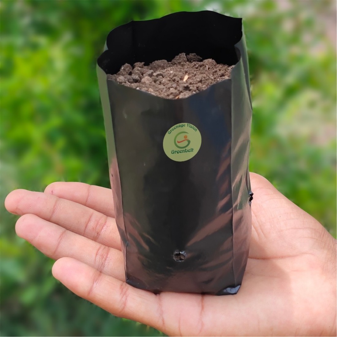 Small Planting bags Plastic Poly Grow Bag 6 x 7 50/100/300bags
