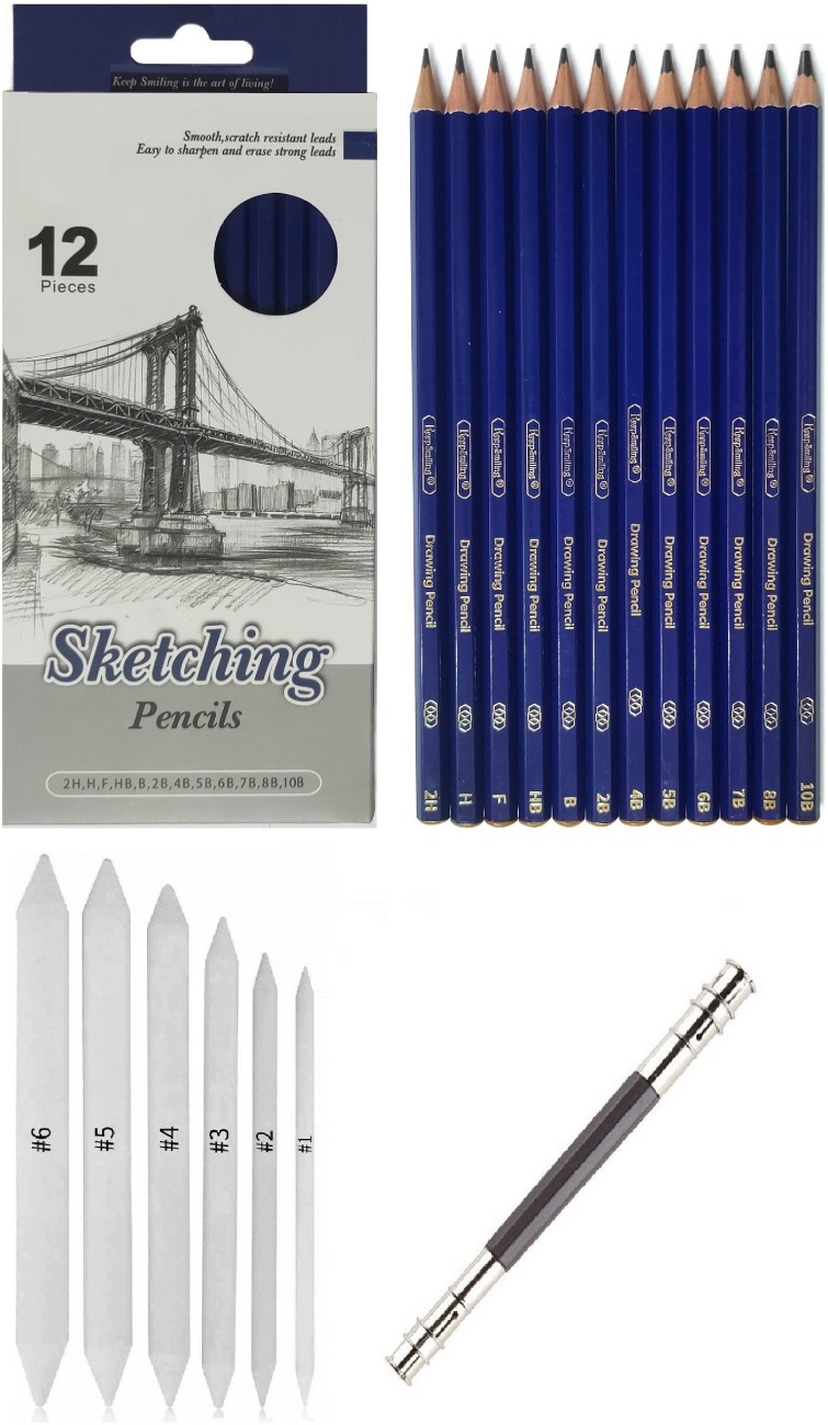 Definite Art Graphite Professional Drawing Sketching Pencil  Set- Artist Grade Degree Pencils 10B, 8B, 6B, 5B, 4B, 3B, 2B, B, HB, 2H, 4H  and 6H (Pack of 12), Art Blending