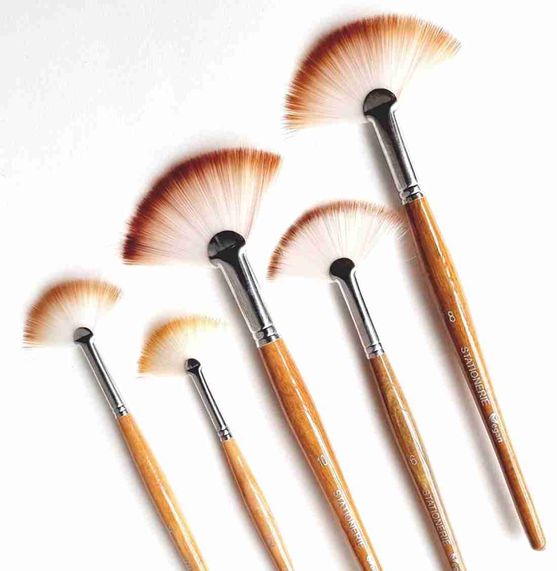 stationerie Signature Handcrafted Fan Brush Set of 5 (2 4 6  8 10) Suitable for Mixmedia 
