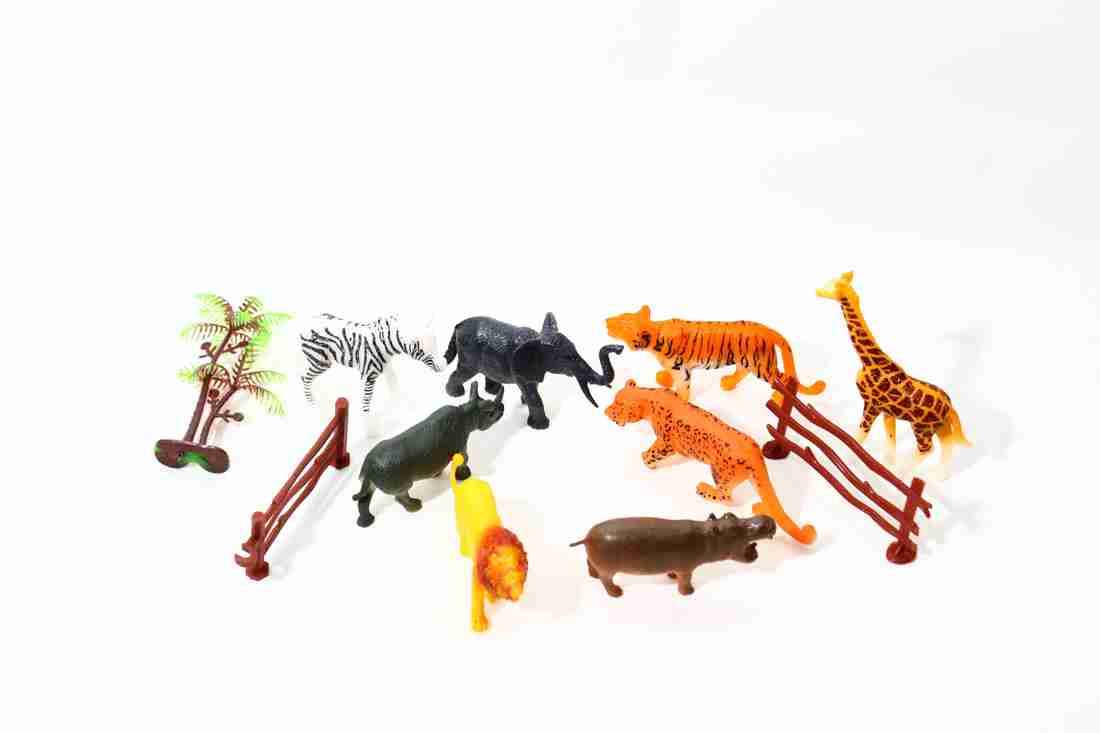 Animal educational toys store