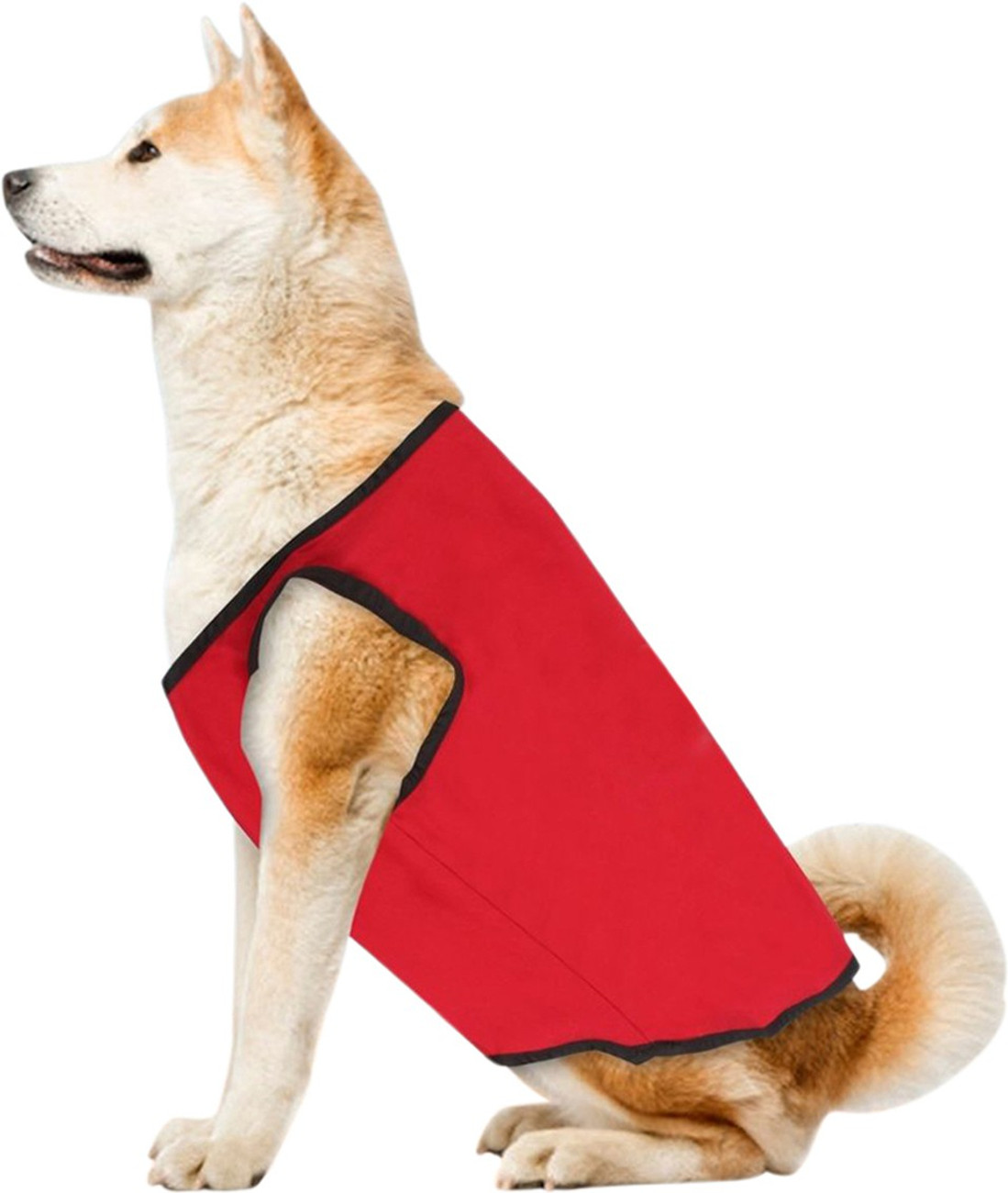Dog cheap clothes flipkart