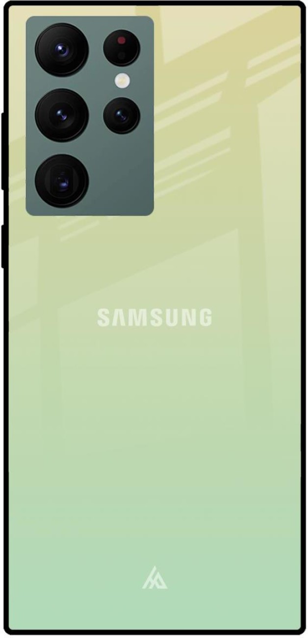 Hocopoco Back Cover for Samsung Galaxy S22 Ultra 5G - Hocopoco