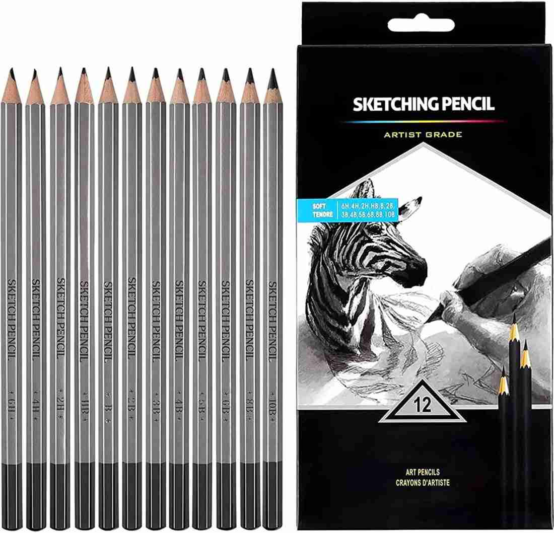 https://rukminim2.flixcart.com/image/1100/1300/l1fc0i80/pencil/w/0/t/12-pcs-sketching-pencils-10b-8b-6b-5b-4b-3b-2b-b-hb-2h-4h-6h-original-imagczuc6ksrtqzw.jpeg?q=20