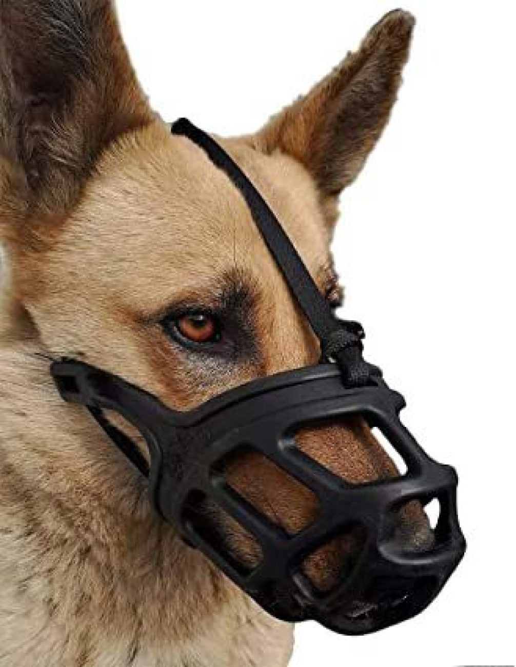 Buy dog muzzle clearance online