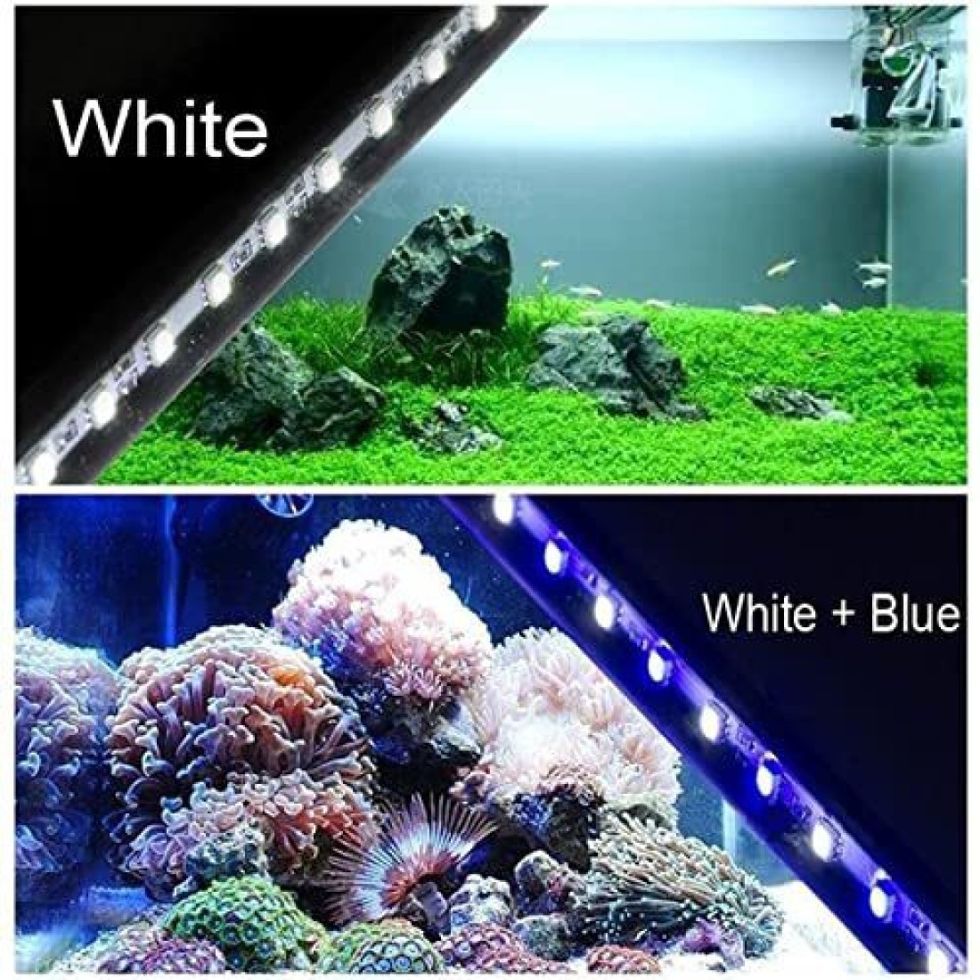 VAYINATO Petzlifeworld Aquarium Fish Tank Background Sticker Poster Black  Colour 2 Feet Length* 2 Feet Height : : Pet Supplies