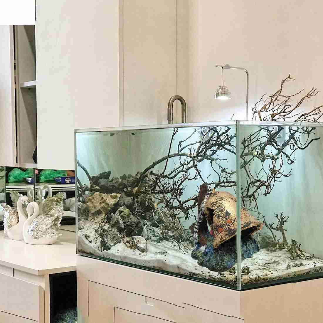 Anchor aquarium decoration 2025