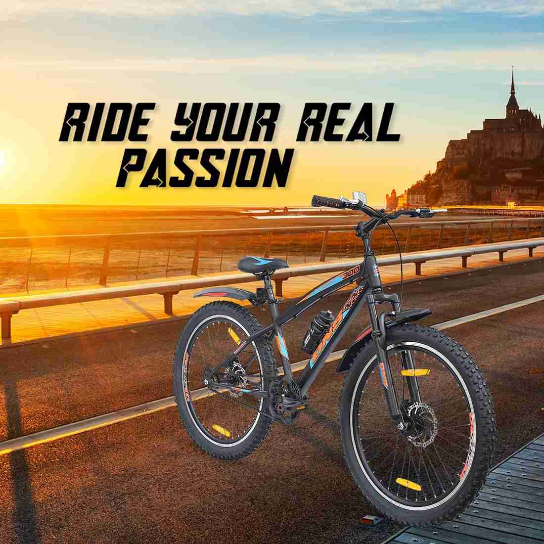 Dns 300 cycle best sale price