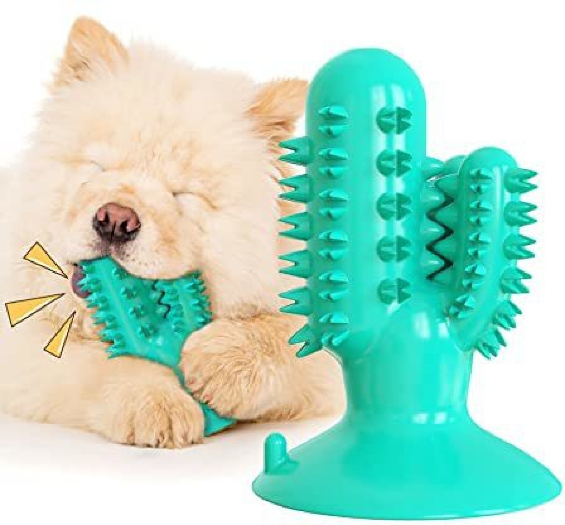 Dog Cactus Molar Stick Toys Dog Resistant Bite Toothbrush Rubber