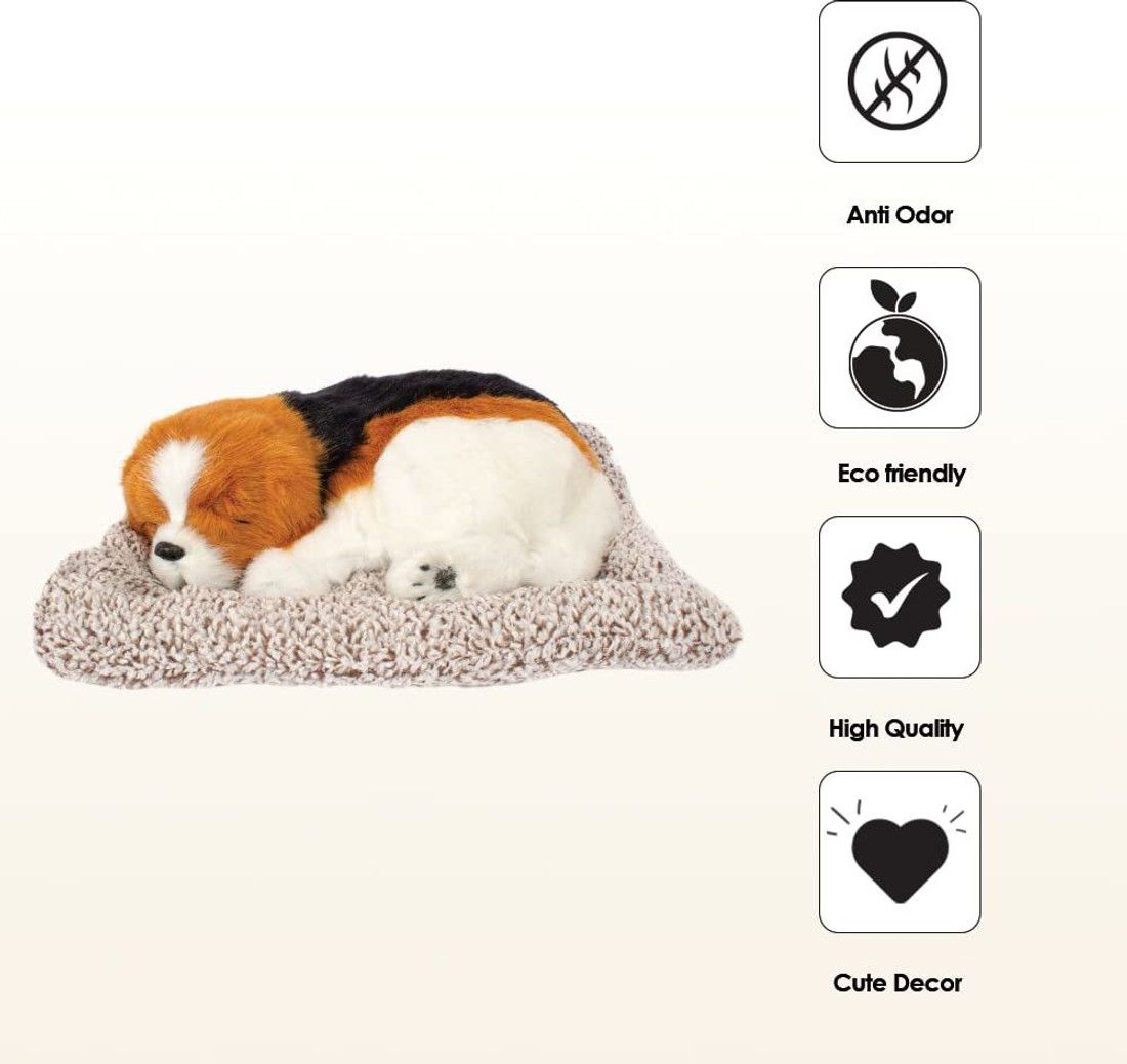 Xylo dashboard best sale cover