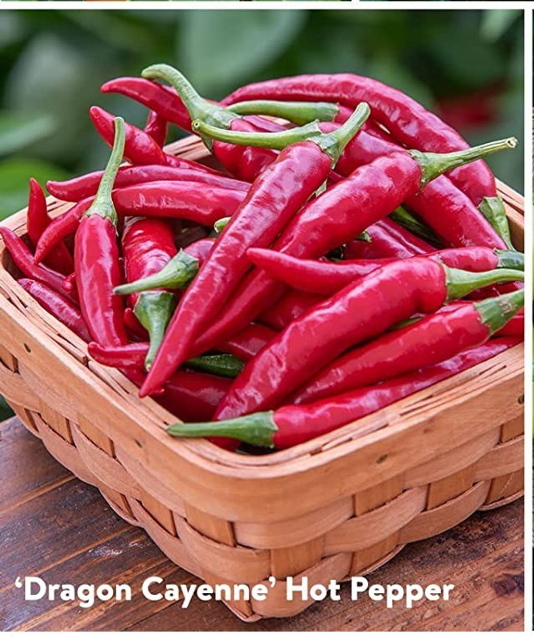 hybrid cayenne pepper