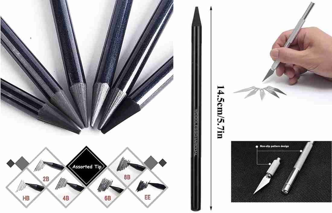 6 Pack Woodless Black Graphite Pencils Set Assorted HB 2B 4B 6B 8B EE Black  Soft Sketch Pencils Drawing Set Art Painting Supplies Pencils for Drawing