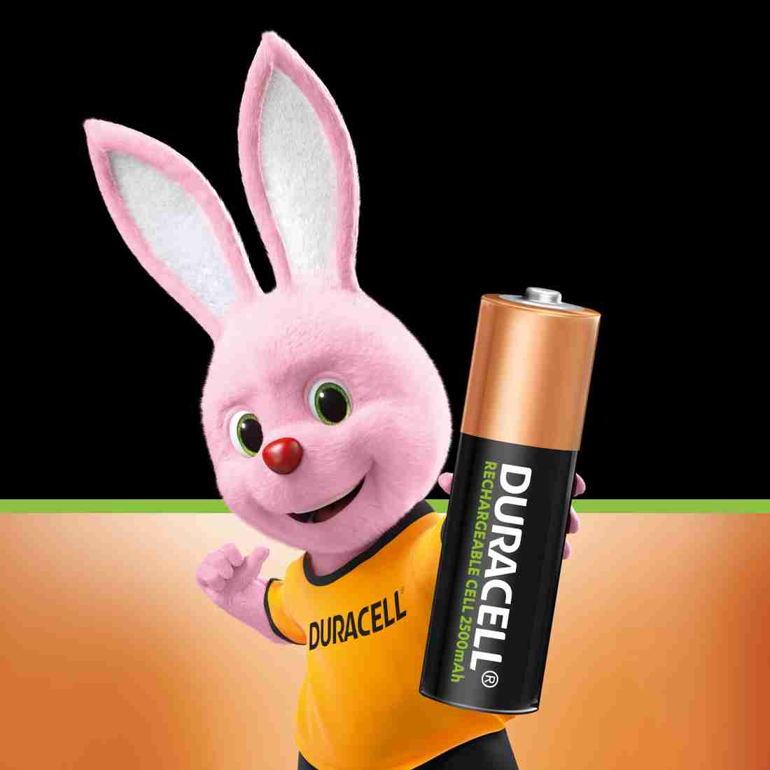 Duracell Rechargeable AA Batteries - Battery Specialties