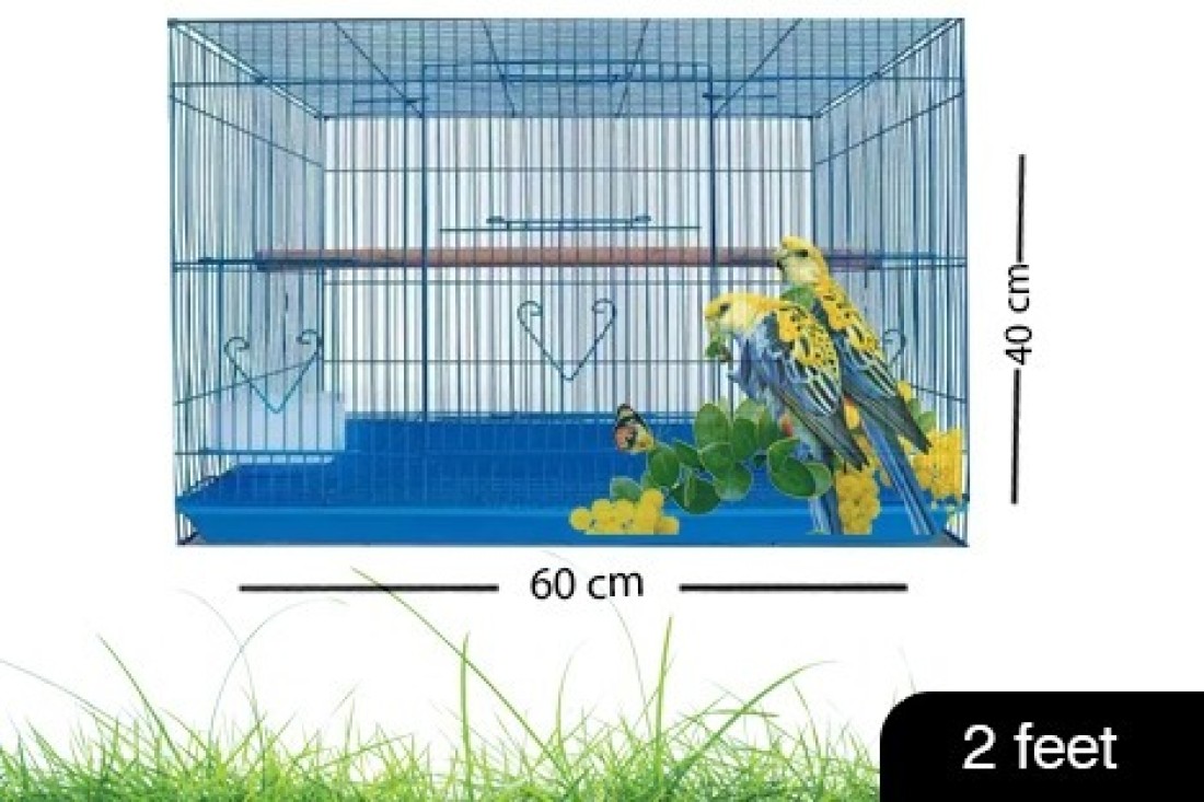 Petzlifeworld 2 Feet Black Birds Cage With Side Opening for Breeding Box,  Suitable for Small Love Birds , Finches and Cannaries Bird House Price in  India - Buy Petzlifeworld 2 Feet Black