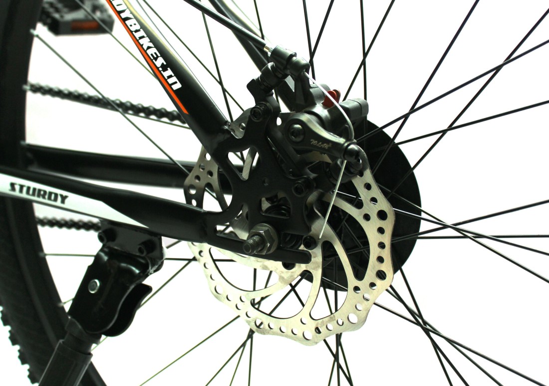 Sturdy Bikes 29 Inch Single Speed MTB with Dual Disc Brakes And Alloy Rims 29 T Mountain Cycle Price in India