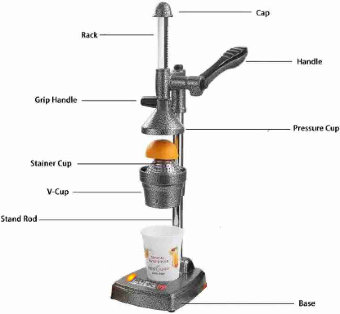 Berg juicer sale