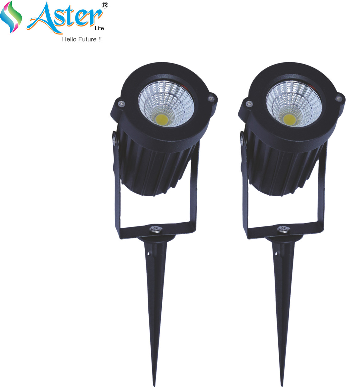 ASTER LITE 6W LED Spike Light Garden Focus Light Warm White