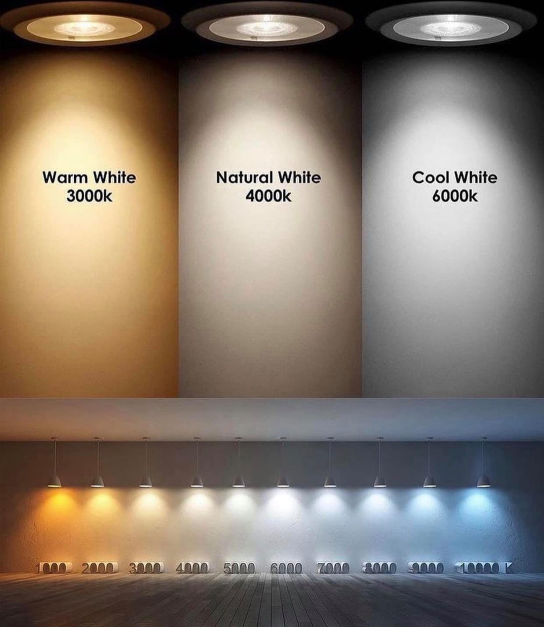 Warm white focus sales light