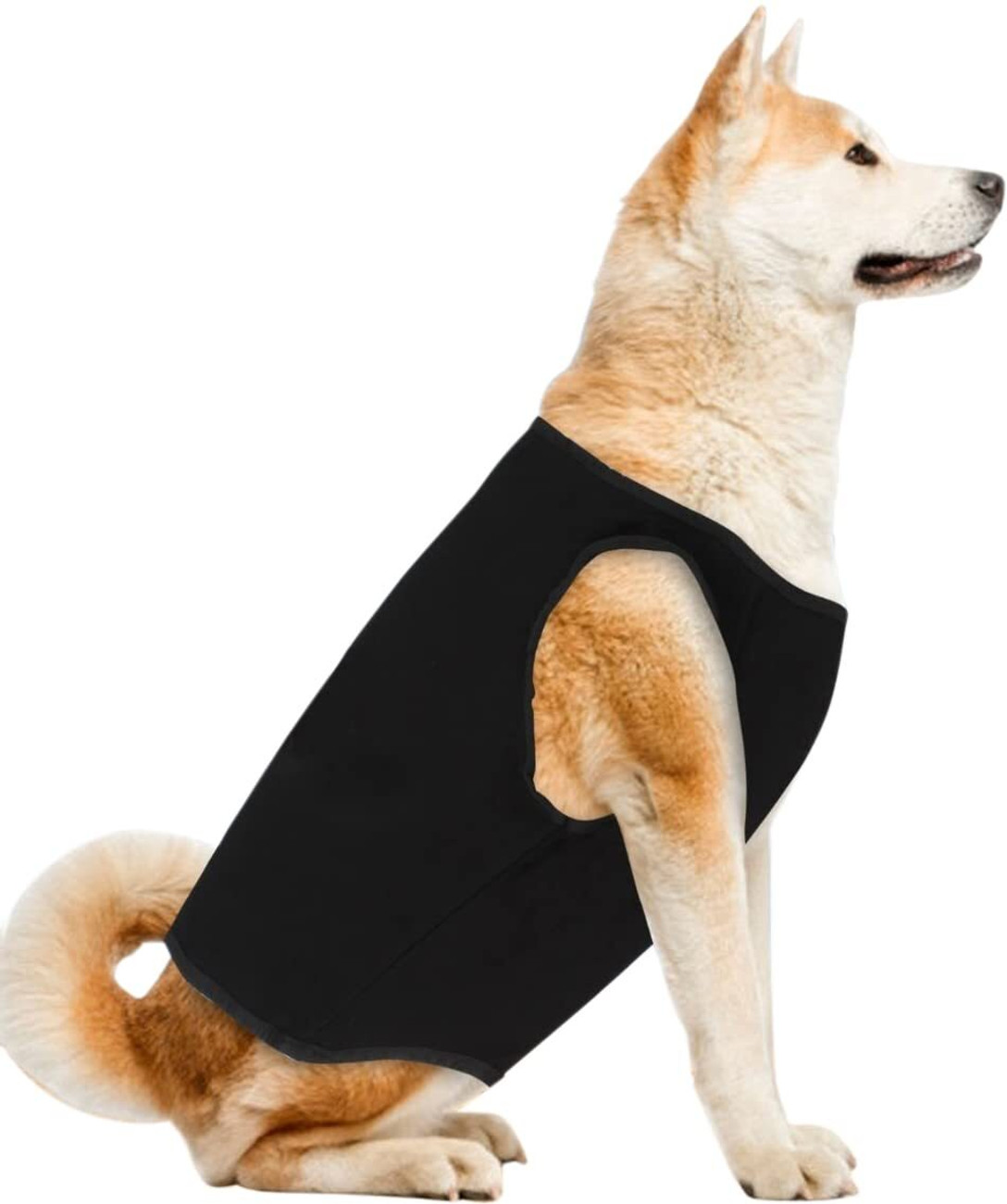 Dog clothes flipkart best sale