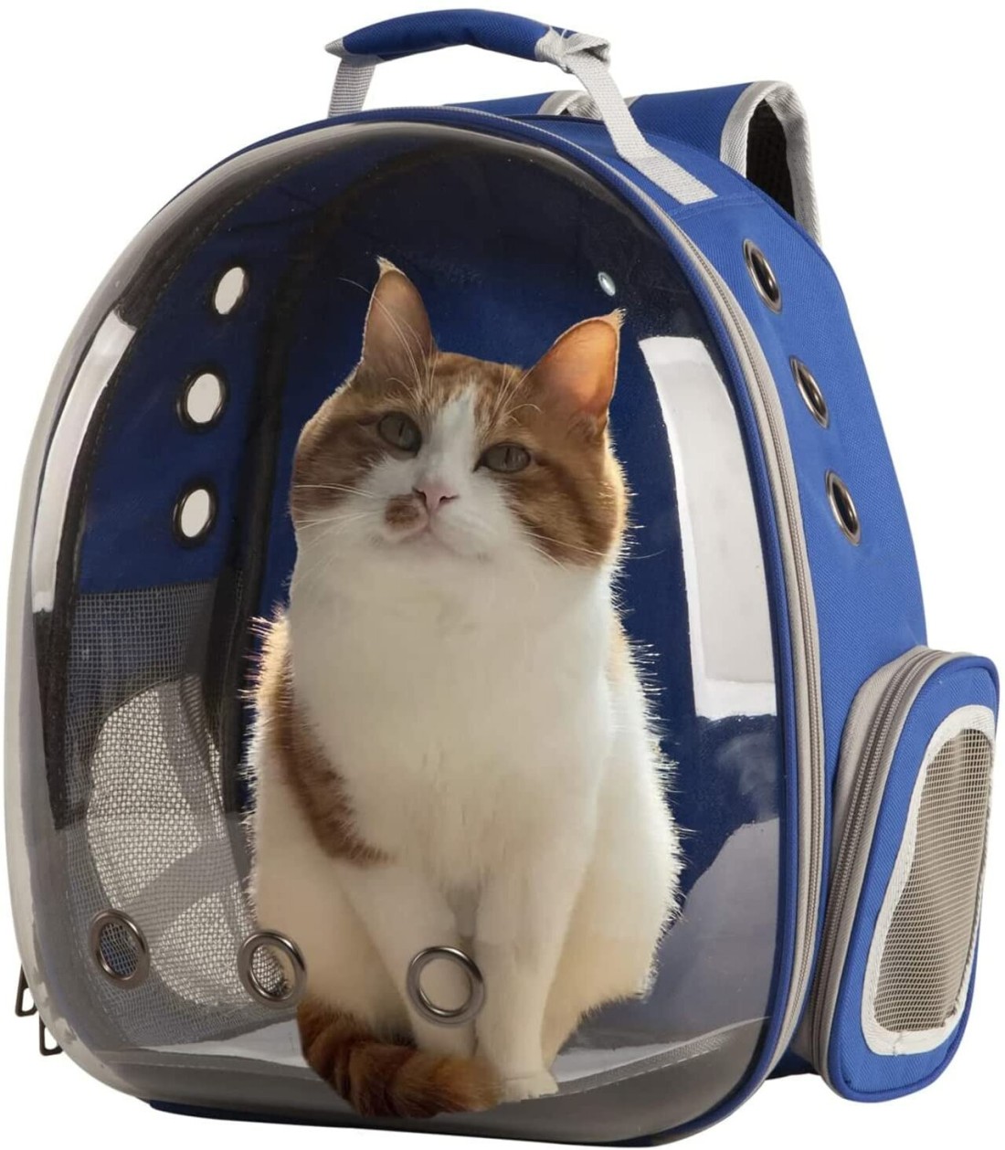 Astronaut pet outlet carrier