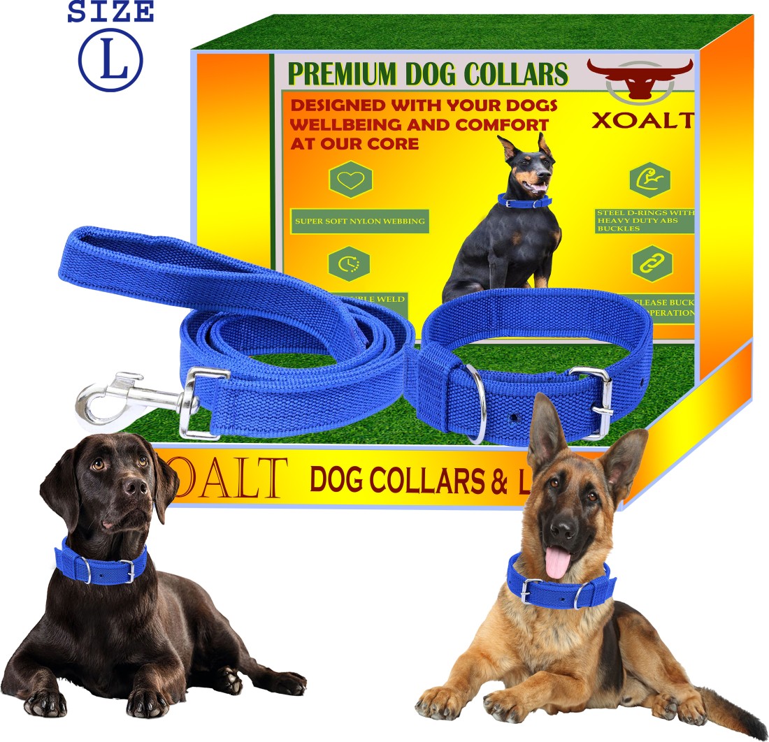 Premium Blue Super Dog Collar and Leash