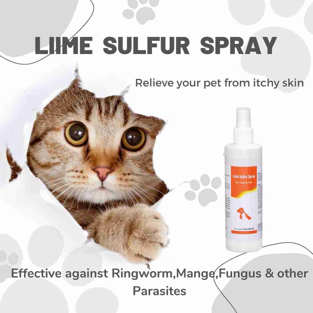 Catnip cologne 2025