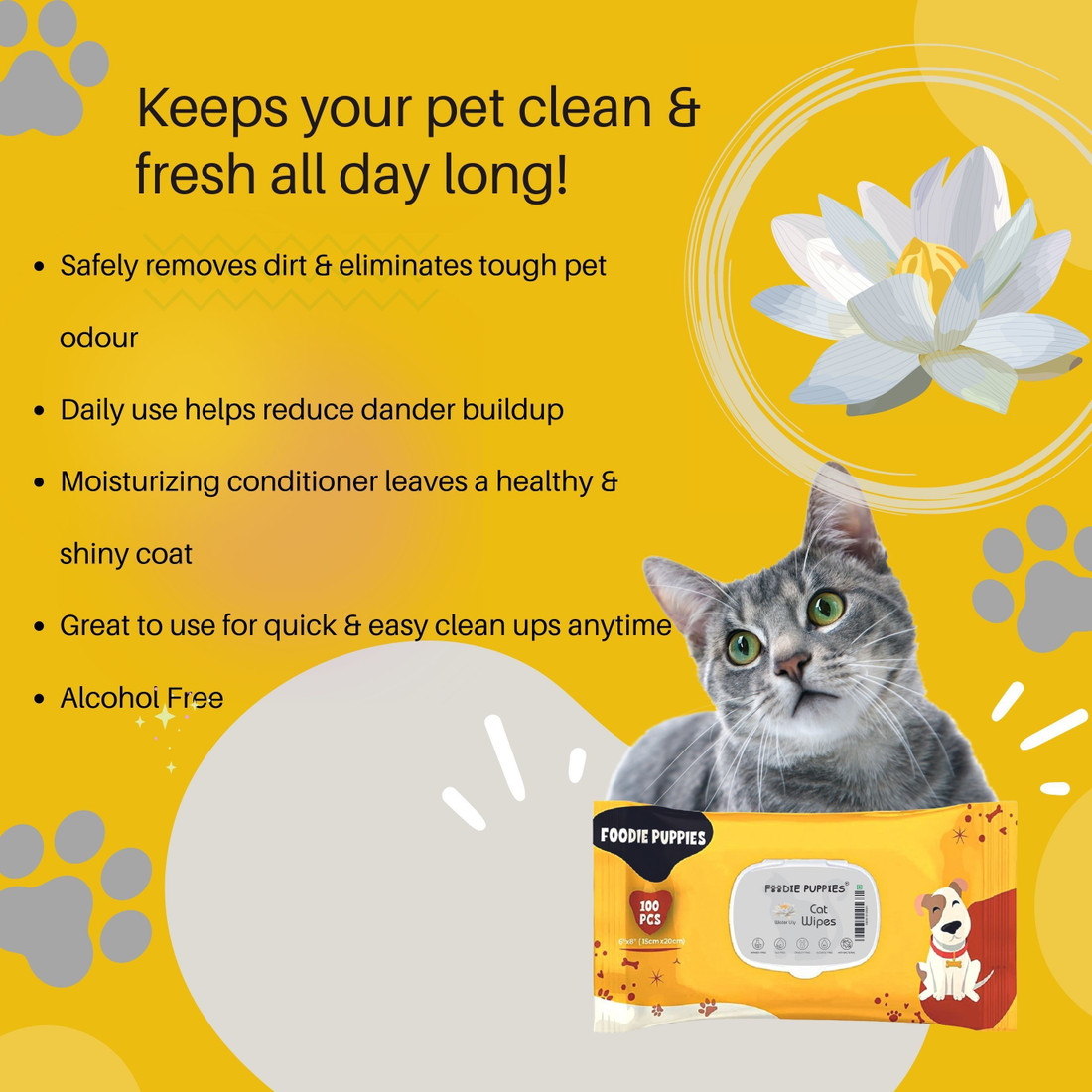 Kitten wipes online