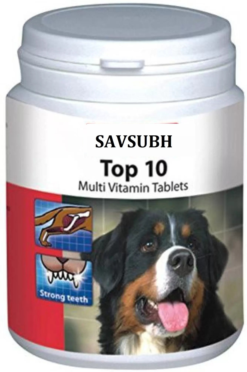 Top 10 2025 dog supplements
