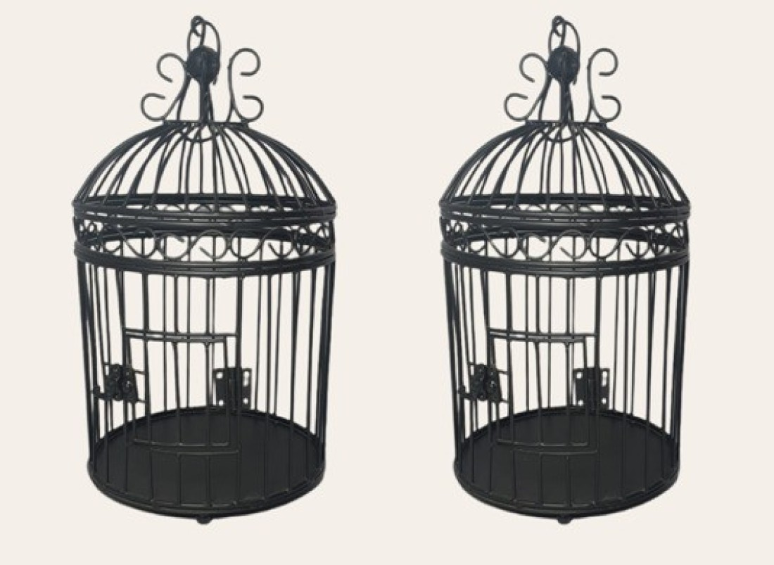 Designer bird online cage