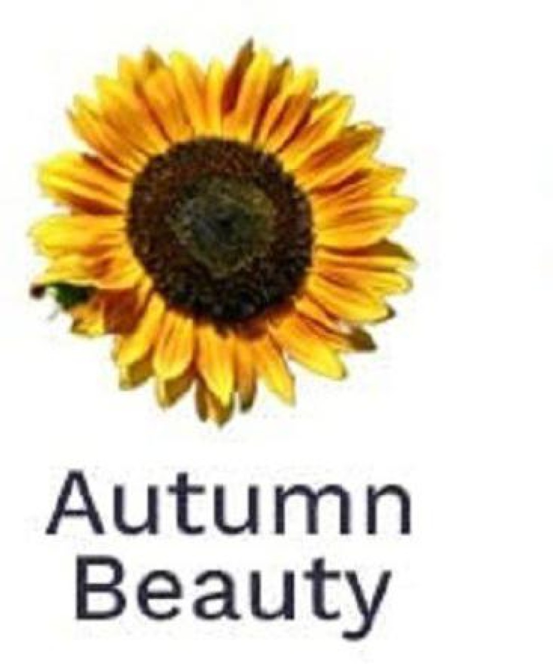 Buy Sunflower Autumn Beauty Flower Seed Online