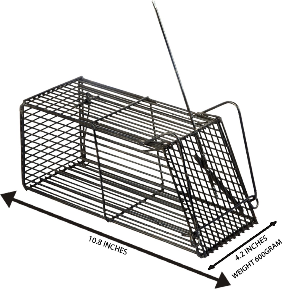 MITHO Mouse Trapper, Rat Catcher, Rat Cage Trap, Big Rat Live Trap Price in  India - Buy MITHO Mouse Trapper, Rat Catcher, Rat Cage Trap, Big Rat Live  Trap online at