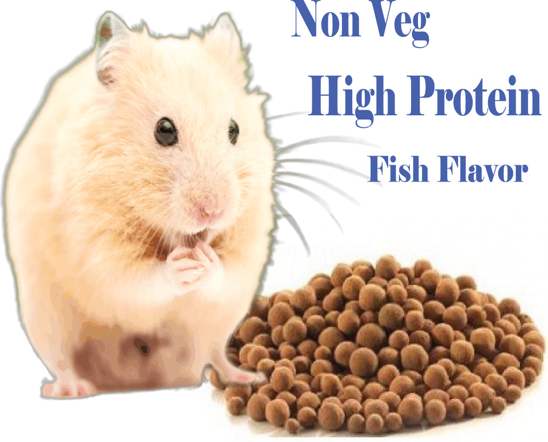 Syrian top hamster treats