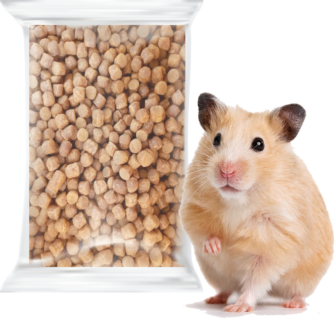Chinese hamster food store