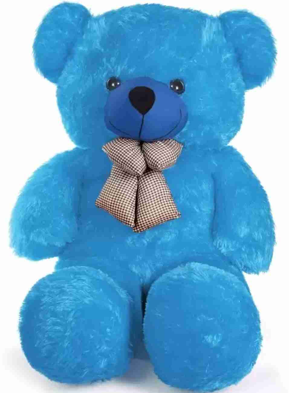 Teddy blue shop colour