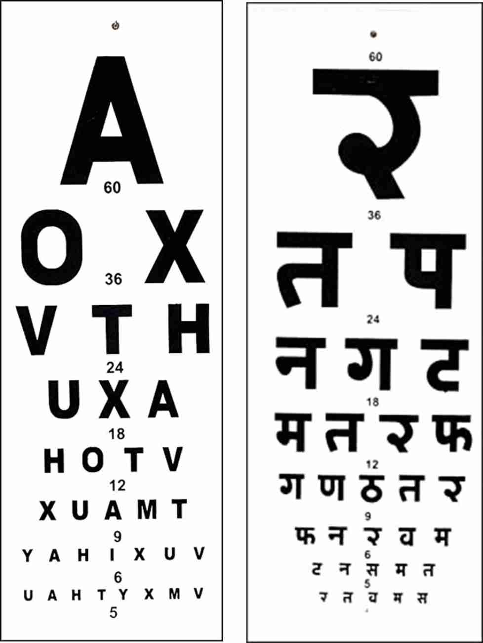 Ansh Enterpris eye test chart Number Vision Test Chart Vision