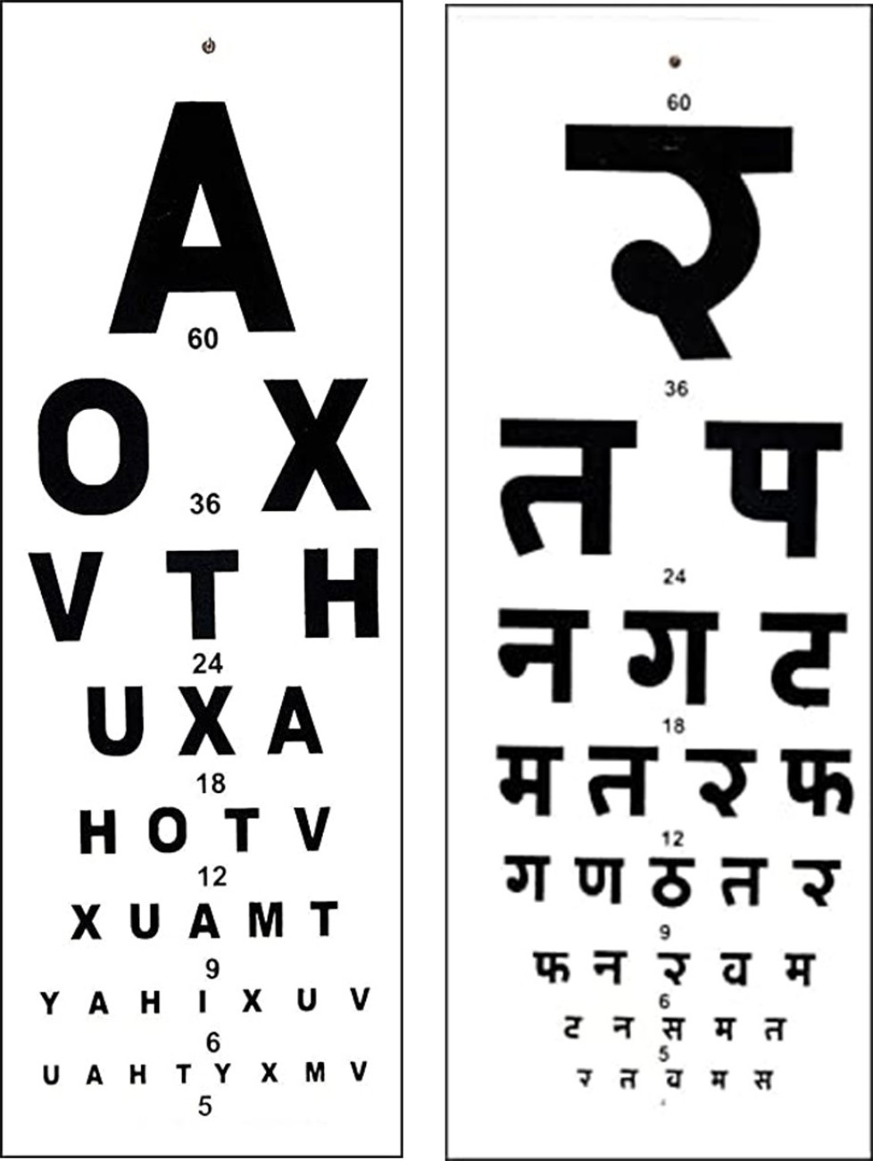 https://rukminim2.flixcart.com/image/1100/1300/xif0q/vision-test-chart/i/v/x/hindi-english-eye-test-chart-ansh-enterpris-20-original-imaggkcakmsy8ffe.jpeg?q=90
