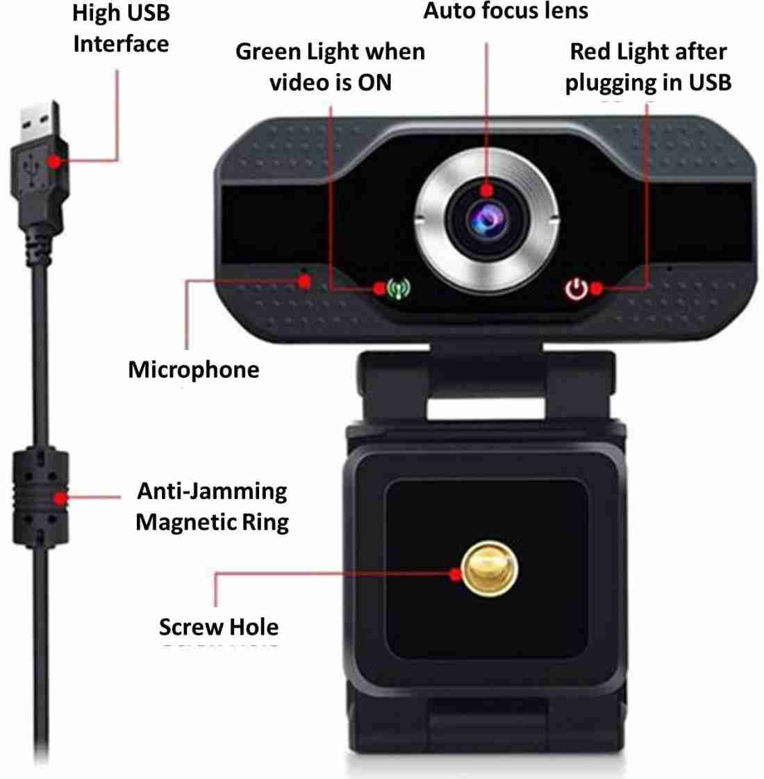 Webcam brobotix full online hd 1080p