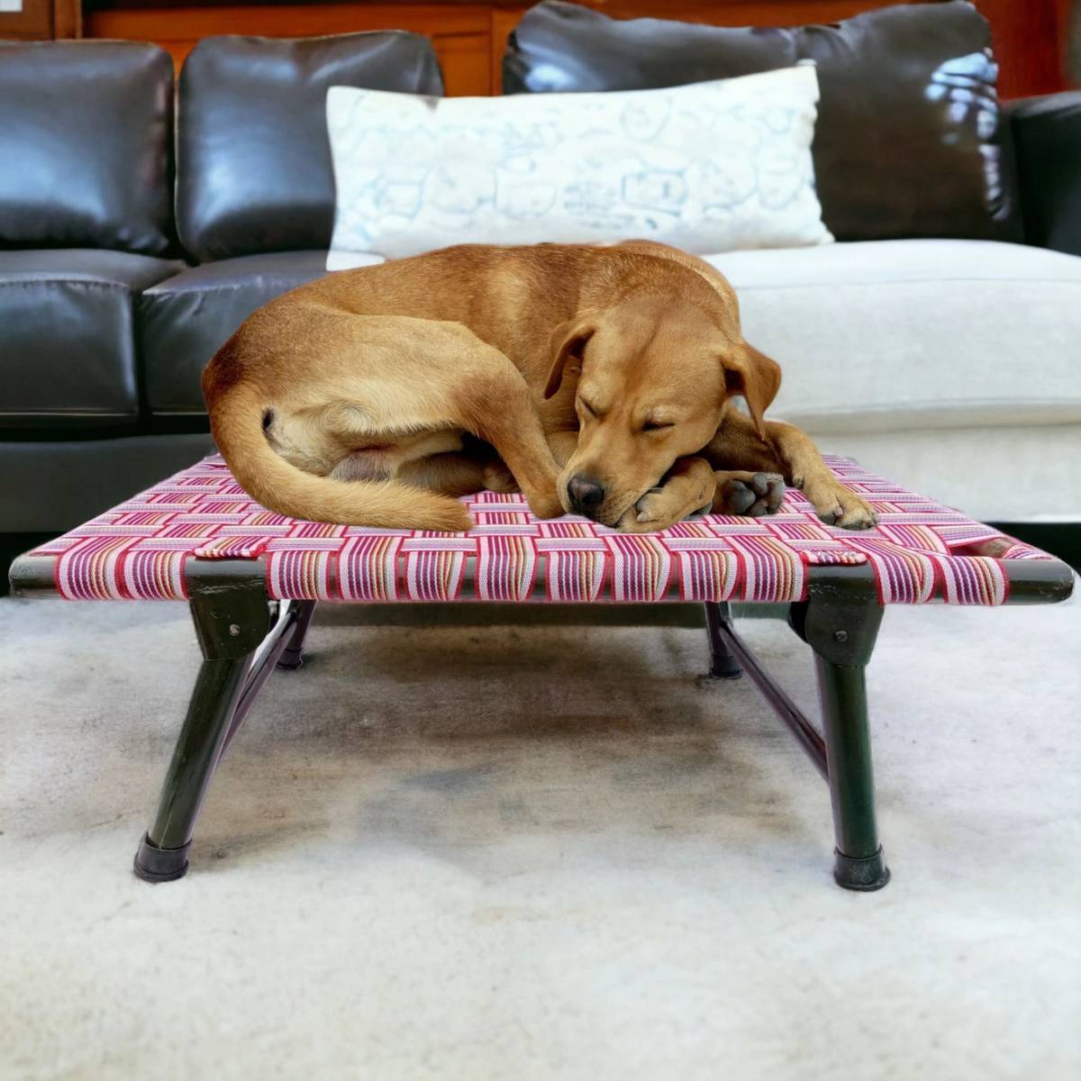 AAURAS Diamond Dog Orthopedic for Large Washable Cover & Nonskid Bottom, L Pet Bed — photo 6