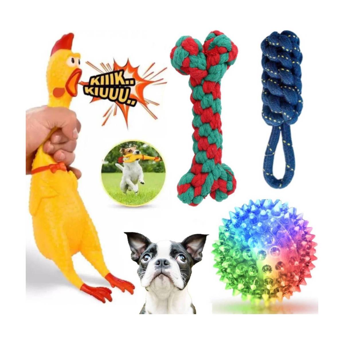 PETZLUV YOUHAVEDEAL Squawking Chicken Squeeze Dog Toy(Large)| Chew Rope Combo Toys Cotton, Rubber Ball, Chew Toy, Rubber Toy, Training Aid, Tug Toy For Dog — photo 6