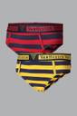 VAN HEUSEN 
Brief For Boys  (Multicolor Pack of 2)