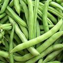 naturehils Beans Seed, Organic Beans Seed, BS44 Hybird Beans Seed Price ...