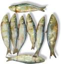AL-HAQQ Sardine | Mathi | Chala Dry Fish Karuvadu Whole Price in India ...