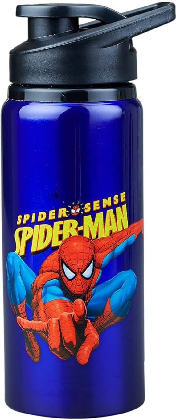 Cartoon Print Aluminium Water Bottle for Gym,School,Running BPA Free,Leak-Proof 600 ml Aluminium Bottle (Pack of 1, Blue)