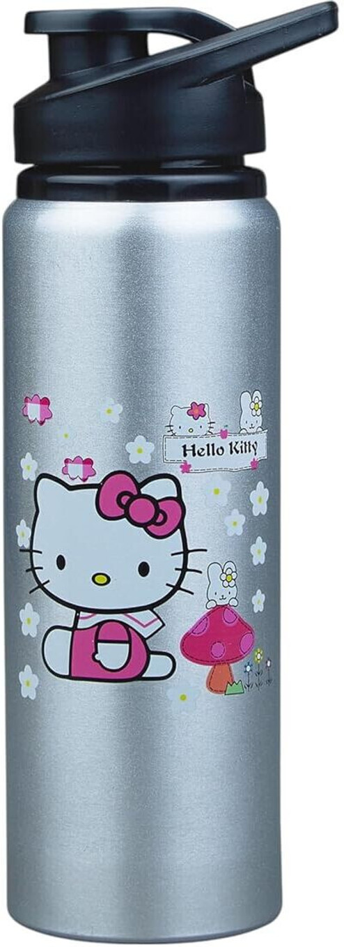 Aluminium Water Bottle Princes Cartoon Printed,Leak-Proof & Durable Eco-Friendly 750 ml Aluminium Bottle (Pack of 1, Silver)